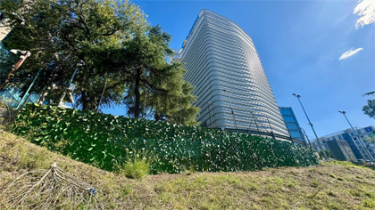 Fotografía del jardín