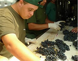 Trabajador del CEE