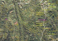 Mapa de Google 
