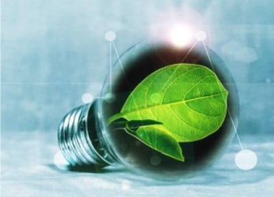 Medio ambiente