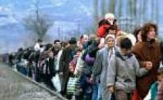 Refugiados