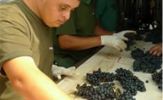Trabajador del CEE