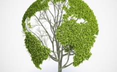 Imagen de recurso sobre sostenibilidad integrada