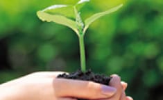 Equilibrio medioambiental