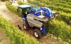 Agricultura intensiva