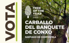 Carballo