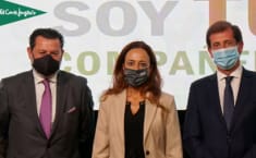 Momento de la formacion