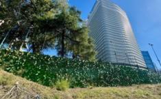 Foto del jardín