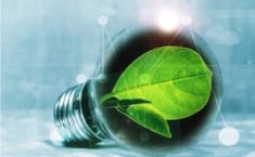 Medio ambiente
