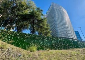 Foto del jardín